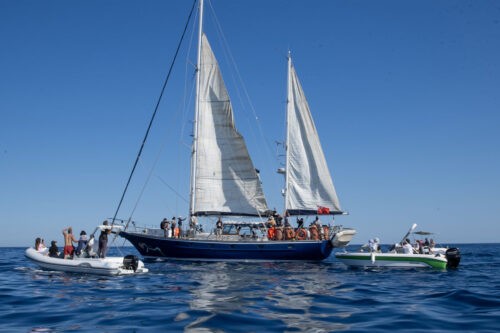 The 2025 Gaza Freedom Flotilla - Madleen - departing Catania, Sicily on 1 June 2025 [Tan Safi / Freedom Flotilla Coalition]